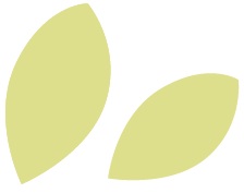 アイコン-葉っぱ